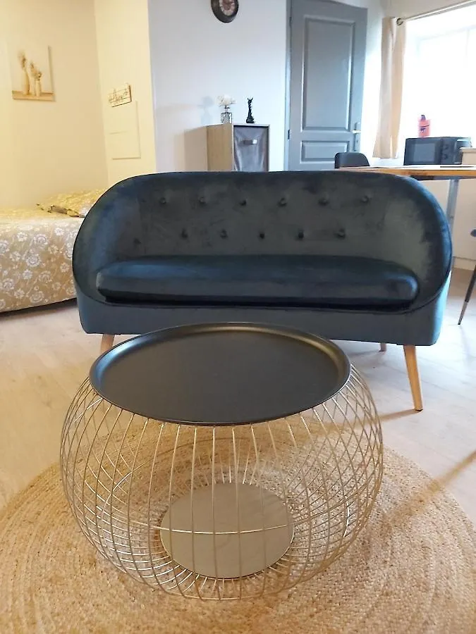 Les Trois Plumes - Centre Ville - Vue Cour Arboree Bourg-en-Bresse Apartment